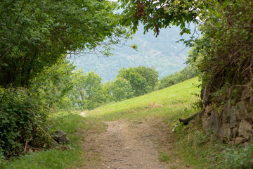 The valley of Aran in the Pyrenees, Lleida