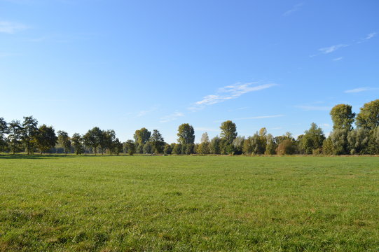 Wandern Niederrhein Wandern Grefrath-Oedt, Feld Wiese