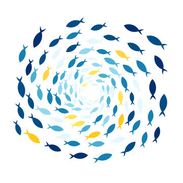 School of fish. Clipart image isolated on white background