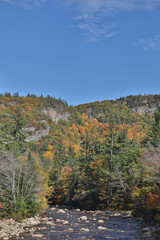 Fototapeta na wymiar Beautiful Fall colors and fauna of the White Mountain National Forest in New Hampshire, USA