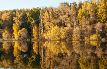 lake with reflection of trees with yellow foliage landscape