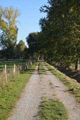 Fototapeta premium Feldweg am linken Niederrhein bei Grefrath-Oedt (Deutschland, Oktober 2018)