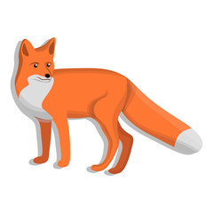 Obraz premium Cute fox icon. Cartoon of cute fox vector icon for web design isolated