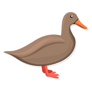 Brown duck icon. Cartoon of brown duck vector icon for web design isolated