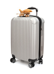 airplane model on top of a luggage