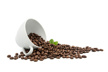Coffee beans  in coffee cup
