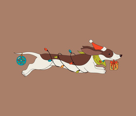 Christmas Dachshund  isolated on brown