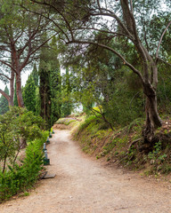 Fototapeta na wymiar Botanical Garden Malaga