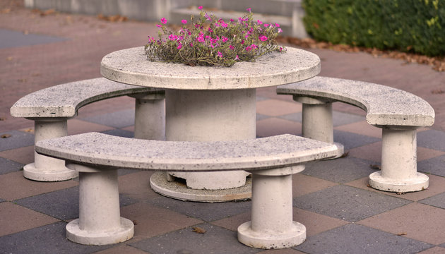 colorful flowers during autumn season. Nice to juse as background or for gardening.