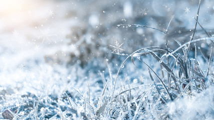 Winter background and winter morning. Frozen grass under the snow, snowflakes and sunlight, rays. - Powered by Adobe