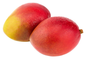 Mango fruit with water drops. Isolated on a white background