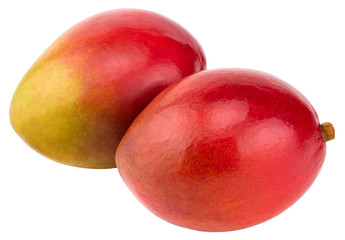 Two mangoes isolated on white background Clipping Path