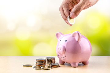 Savings money with piggy bank