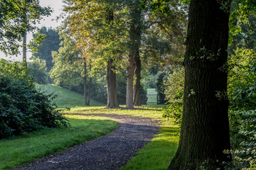 Neuwied im Schlosspark, Bäume im Sonnenschein