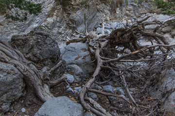Garganta de Samaria