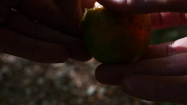 sbucciare un mandarino alimento sano e genuino