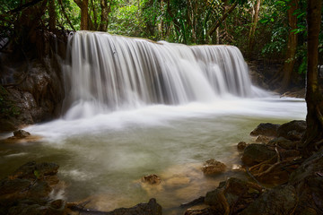 waterfall in deep forest with root of tree