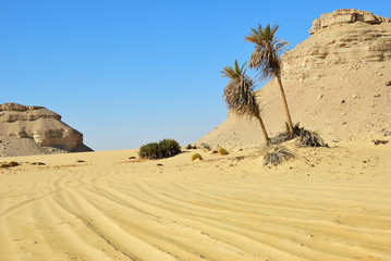 Landscape of the Western desert Sahara, Egypt