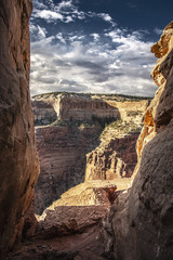 Fototapeta premium Canyonlands - Moab - Utah - USA