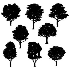 vector realistic tree silhouette collection set