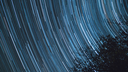 Tree Star Trails , Star trails in the night over milky way, space, night sky.