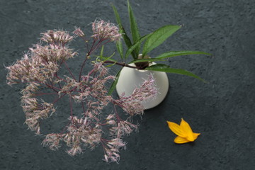 Blumen in Vase auf dunkel-grauem Grund
