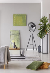 Lamp next to green paintings in grey apartment interior with pillows and plant on table. Real photo