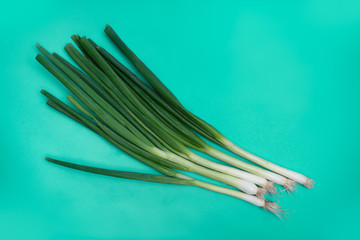 Green onion on green background