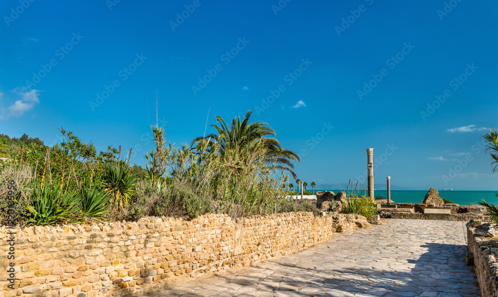 Poster ruins of the baths of antoninus in carthage, tunisia.