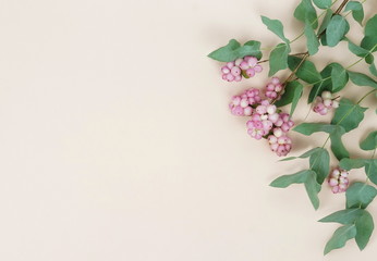 Flowers composition. Frame made of various pink flowers and eucalyptus branches on pale beige background. Flat lay, top view, copy space