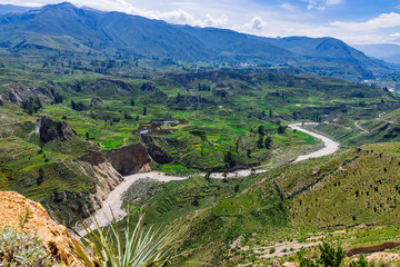 Fototapeta na wymiar Blick auf den Fluss Rio Colca und Terrassenfelder in den Anden von Peru