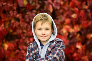 Autumn is time for back to school. Little schoolboy. Little child enjoy autumn season. Adorable...
