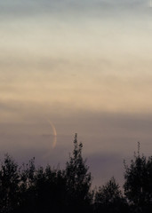 Moonlit month goes over the forest
