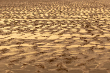 Fototapeta na wymiar Golden Sand Ripples on a Beach