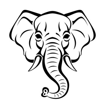 Vector beautiful elephant face tattoo sketch or template for print on t-shirts