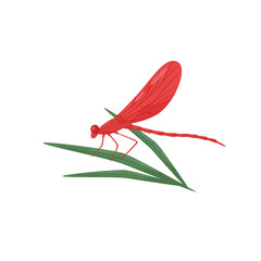Dragonfly sitting on green leaf. Fast-flying insect with bright red wings and long body. Flat vector design