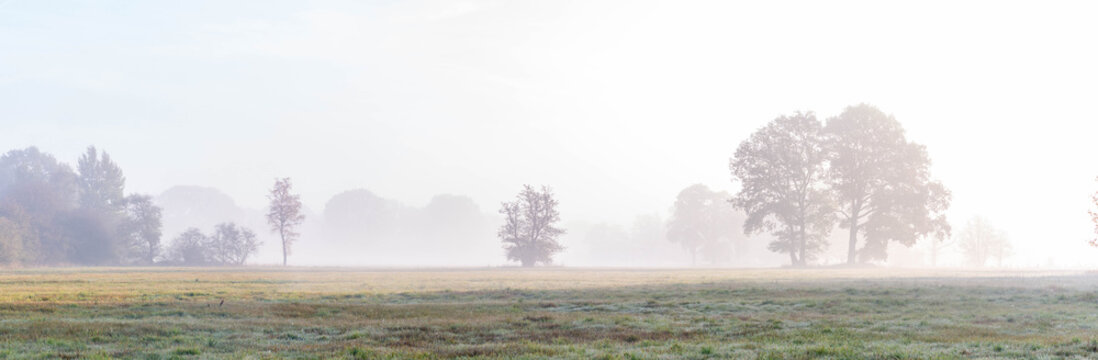 Autum Landscape