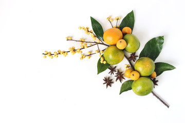 Christmas floral composition. Decorative corner, branch of tangerine citrus fruit and leaves, anise stars, yellow holly berries and little apples isolated on white table background. Flat lay, top view