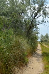 Obraz premium Ukraine.Arabatskaya arrow. Chokrak