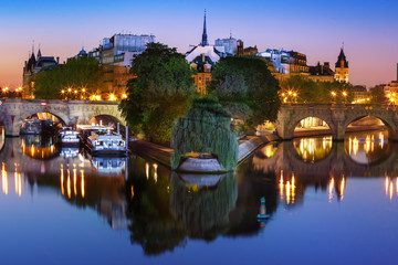 Beautiful view of Ile de la Cite and Pont Neuf at sunrise in Paris, France, as seen from Pont des Arts