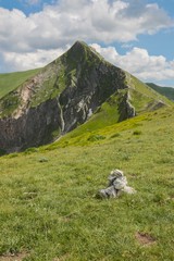 Ferratina del Berro