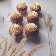 cupcake