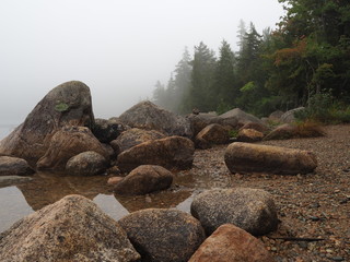 Obraz premium Jordan Pond bei Nebel aus der Froschperspektive, Maine