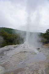 View of the Lady Knox geyser erupting in the Waiotapu area of the Taupo Volcanic Zone in New Zealand