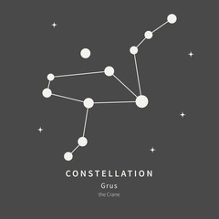 The Constellation Of Grus. The Crane bird - linear icon. Vector illustration of the concept of astronomy.