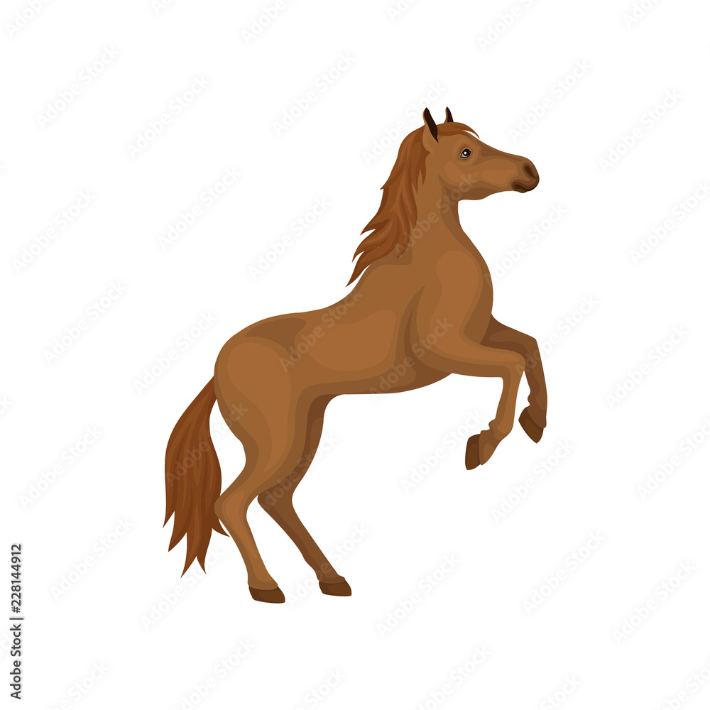 Sticker Brown horse rearing up. Animal with hooves, beautiful flowing mane and long tail. Flat vector design