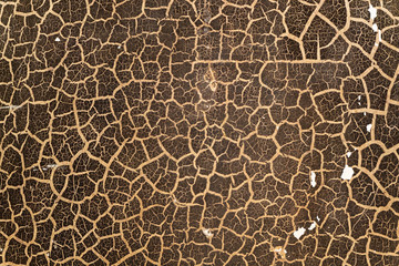 Ancient cracked wall texture. brown and yellow colored background