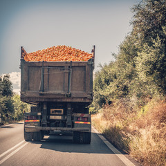 Oranges carried on a truck - obrazy, fototapety, plakaty