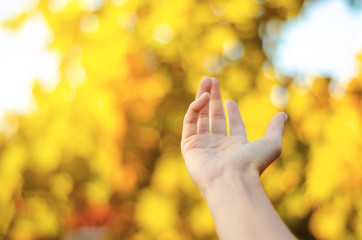 Empty female hand autumn nature blur background