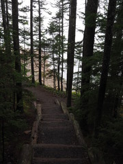 Ship Harbour Trail, Maine